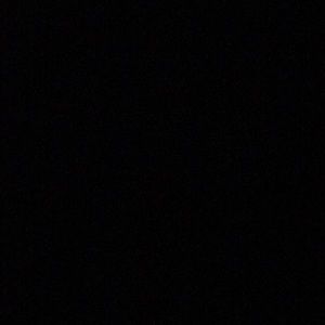 Meet your Posher, Lizzie